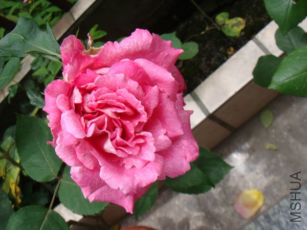 DSC02689.JPG