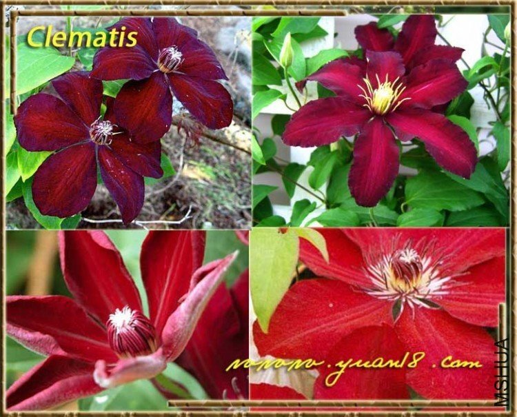 �������й����ͼƬ