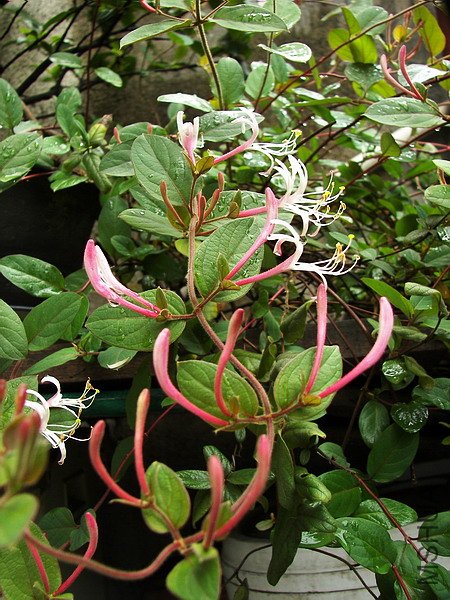 102_5826.jpg