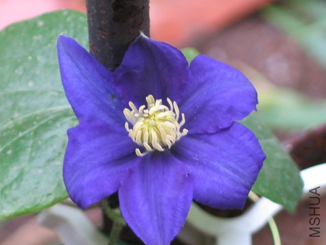 �ڶ����е�Բ�����