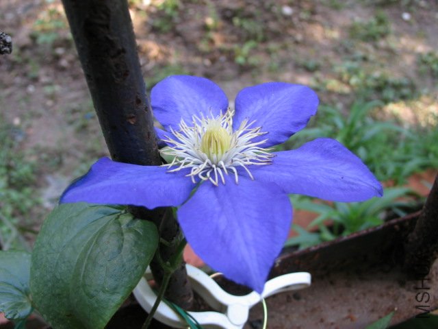 ��4�컹����ô��չ