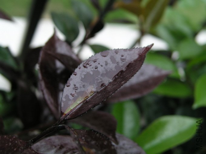 P1010161.JPG