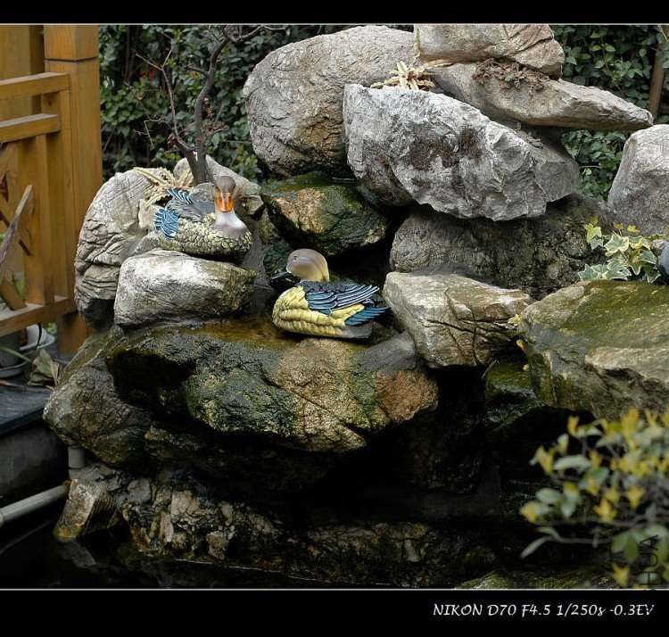 nEO_IMG_DSC_9367.jpg