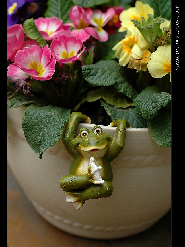 nEO_IMG_DSC_9360.jpg