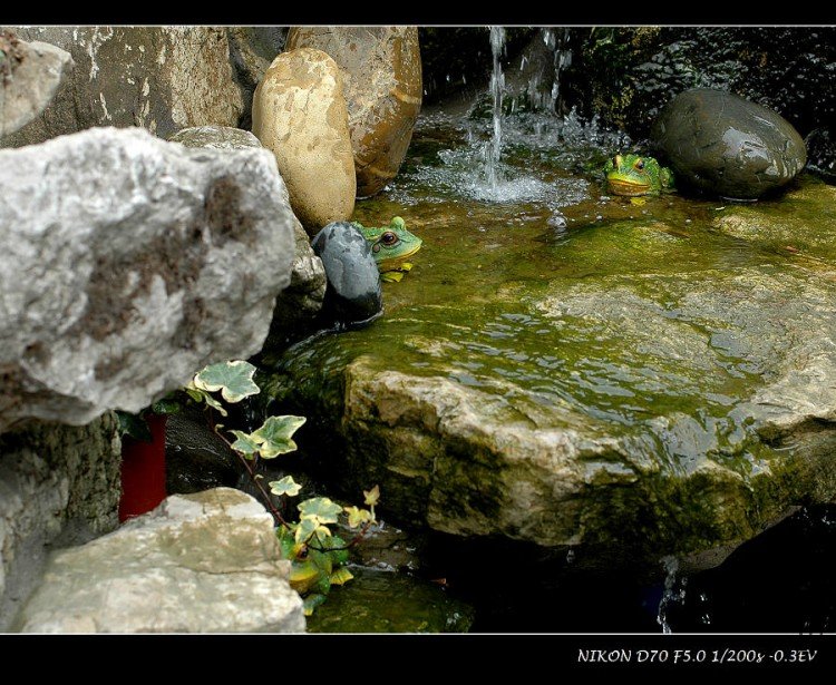 nEO_IMG_DSC_9372.jpg