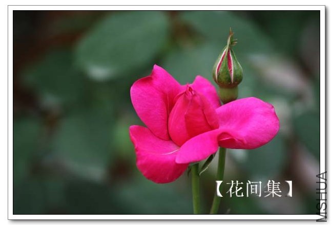 IMG_4787 ����.jpg