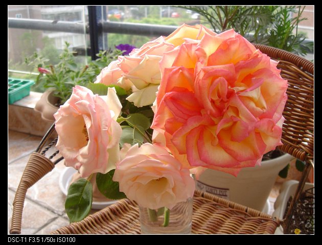 nEO_IMG_DSC01505.jpg