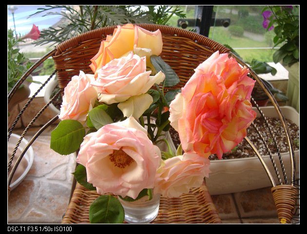 nEO_IMG_DSC01504.jpg