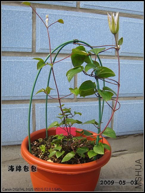 �����ĵ�