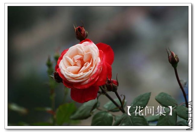 IMG_5119 ����.jpg