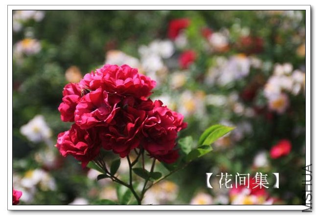 IMG_0018 ����.jpg