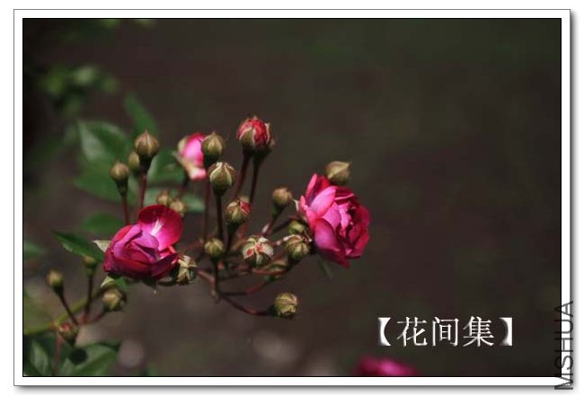 IMG_0119 ����.jpg