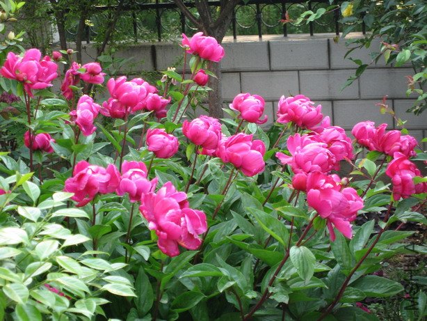 ��Ƭ 141_��С��С.jpg