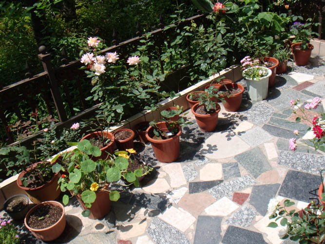 DSC02766.JPG
