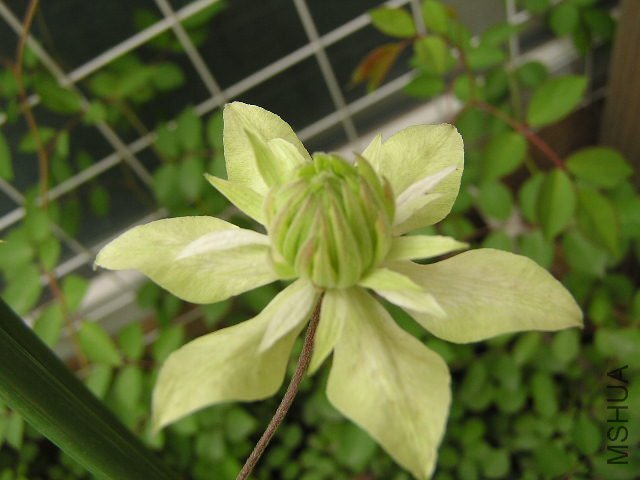 �����ڶ�û��ȫ��