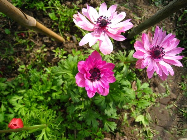 ��Ƭ 048_������С.jpg