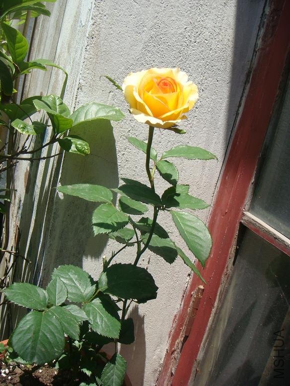 DSC02899.JPG