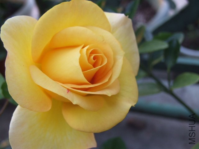 DSCF3781.JPG