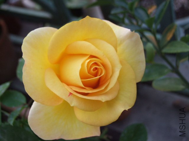 DSCF3782.JPG