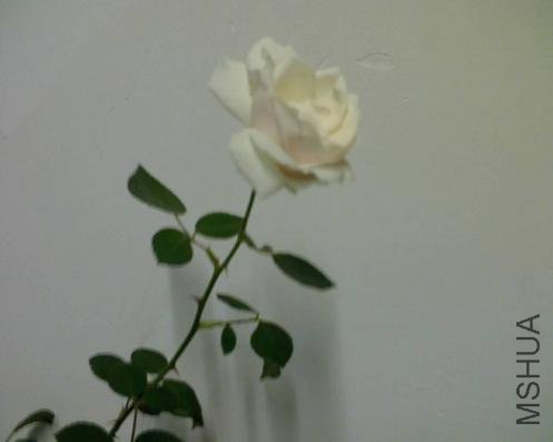09.05.06.jpg