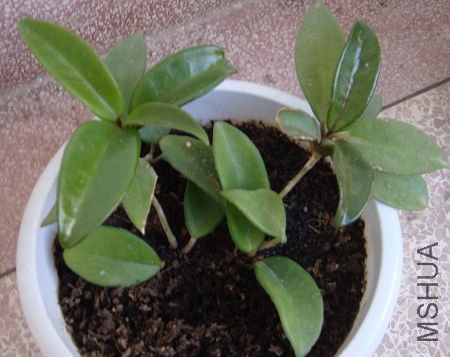 ��ͨ����һС�ã���̳�����Ľ�Ʒ��