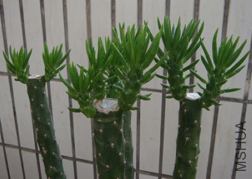 ���ްԽ����������ʱ1��5����ͬ�µĺ��ӵ��ƹ����ϣ������ڵ����ӡ�