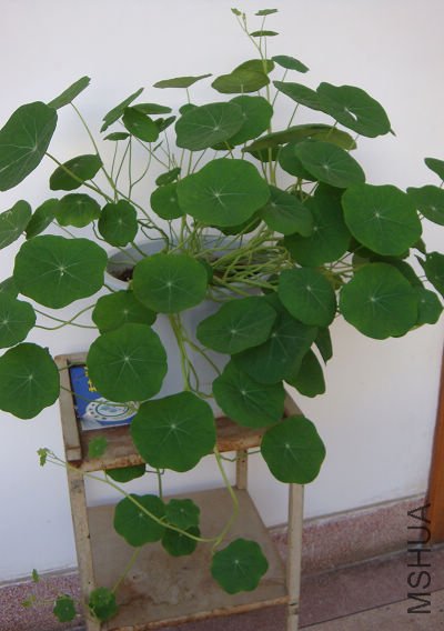 �����ǻ�û���ĺ캵�������ˣ����Ҷ��ֱ��Լ12���ס�