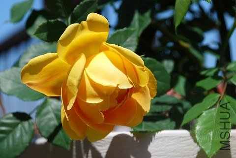 nEO_IMG_nEO_IMG_DSC_0232.jpg