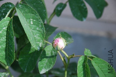 nEO_IMG_nEO_IMG_DSC_0034.jpg