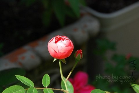 nEO_IMG_nEO_IMG_DSC_0163.jpg