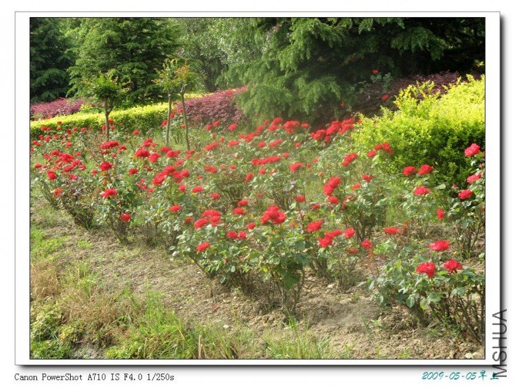 ��������·�ߵ��¼����͵��Ǵ󻧵ĺ�԰�ɣ�������