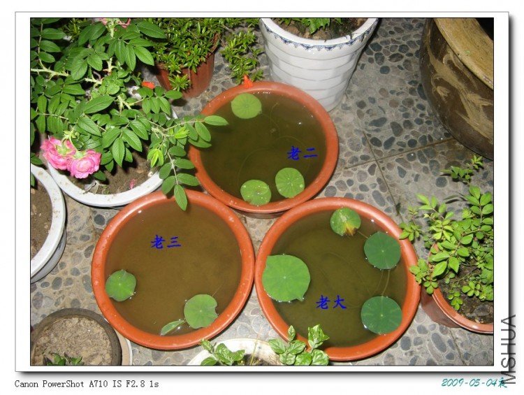 ���������һ��Ѿ����˴�仯�ˣ�������ͼ����