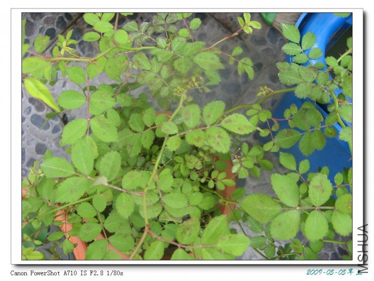 �������ʱ��ϴ�·�ˮ̫Ũ���������ǳ�ȸ���ˡ�