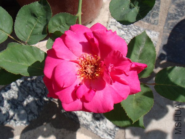 DSC02813.JPG