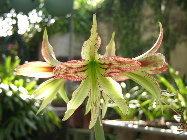 DSCN4164.JPG