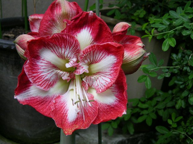 DSCN4177.JPG