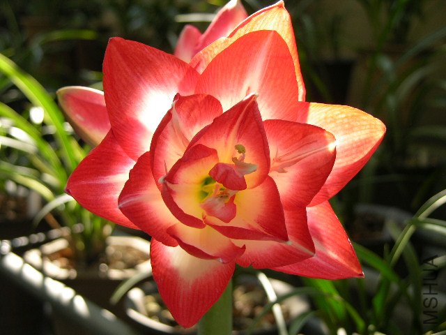 DSCN4301.JPG