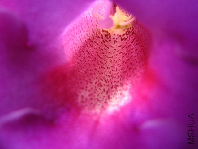IMG_6884.JPG
