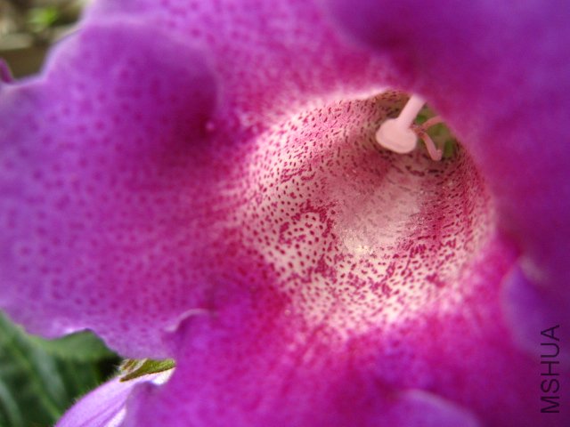 IMG_6939.JPG