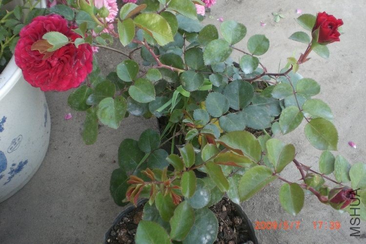 ������һ���ڶ��˻�û��