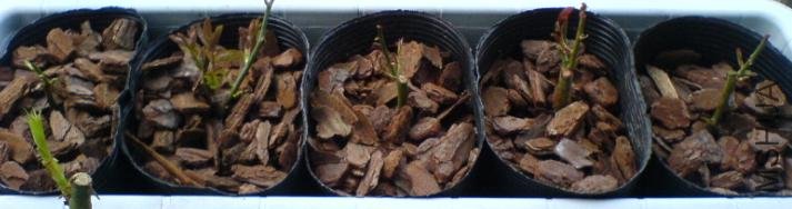 �������ʱ