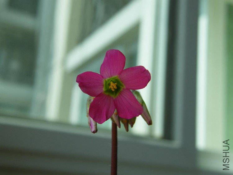 DSCF0180.JPG