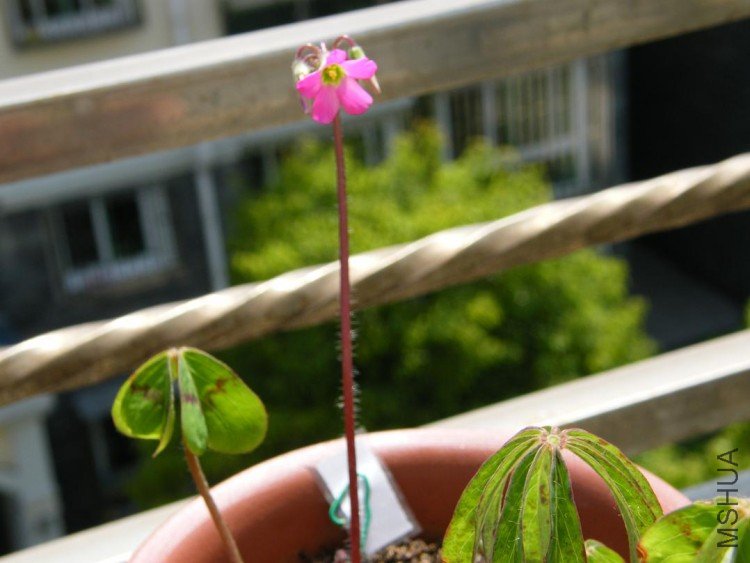 DSCF0179.JPG