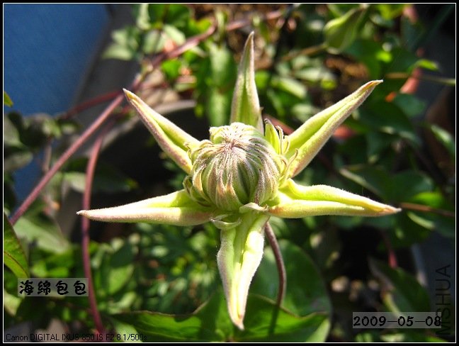 ȫ�����µ�С�̻��᷺��������ɫ��