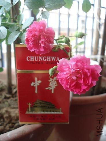 ������ͼ