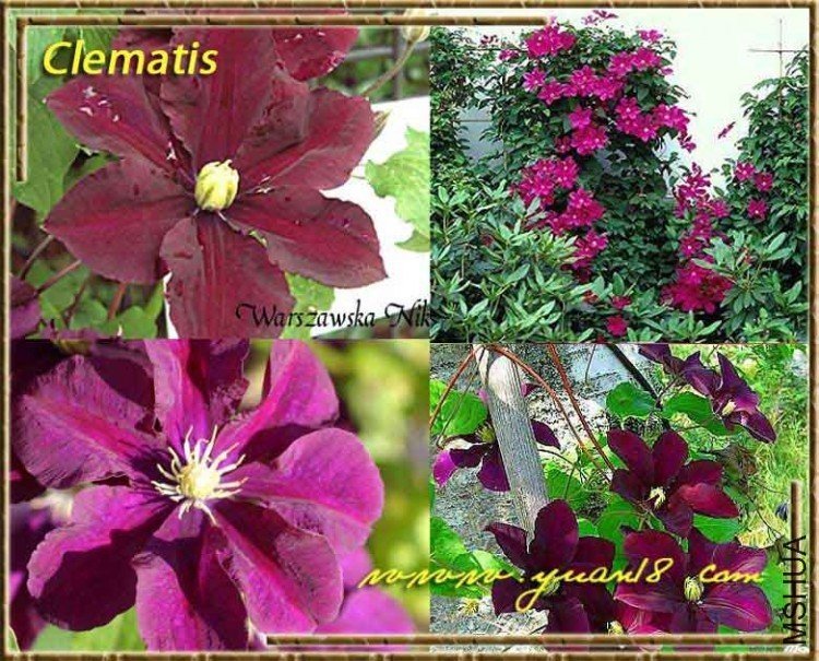 21 Warszawska Nike-11.jpg