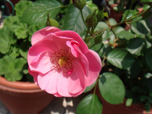 DSC02842.JPG