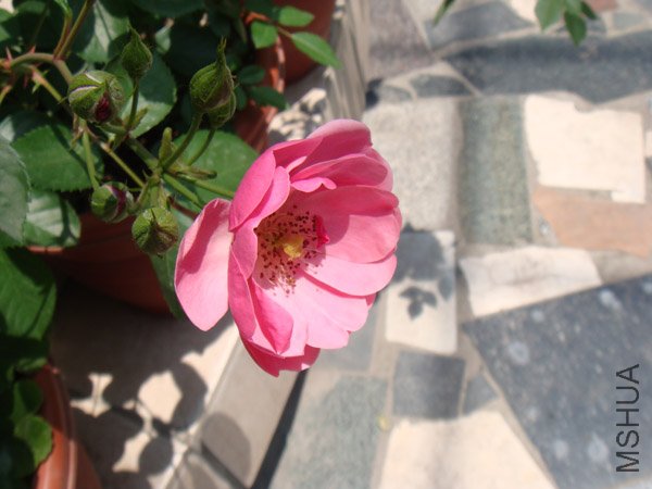 DSC02841.JPG