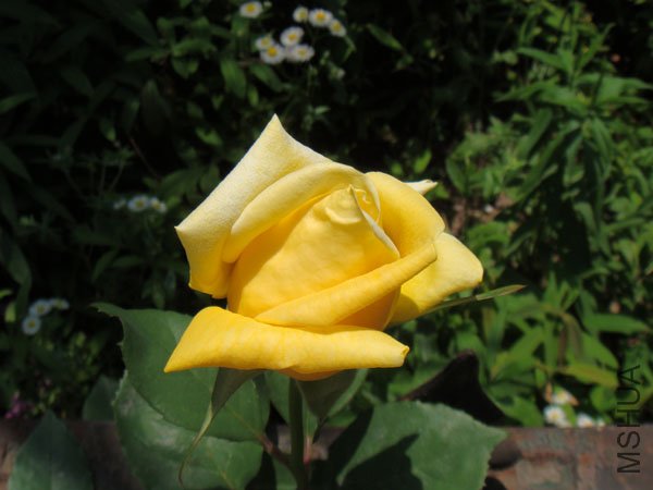 DSC02838.JPG