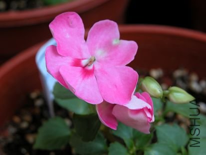 DSCN0109.JPG